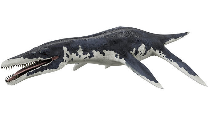 Liopleurodon 3D model