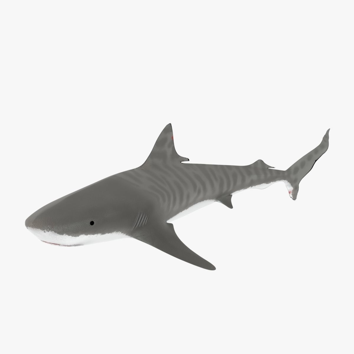 Tiger Shark Low-poly 3D model_10