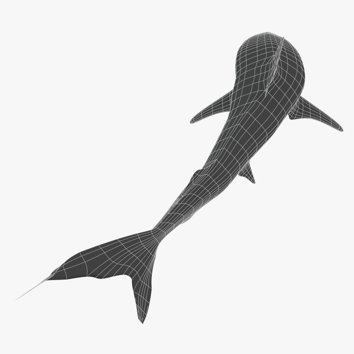 Tiger Shark Low-poly 3D model_7