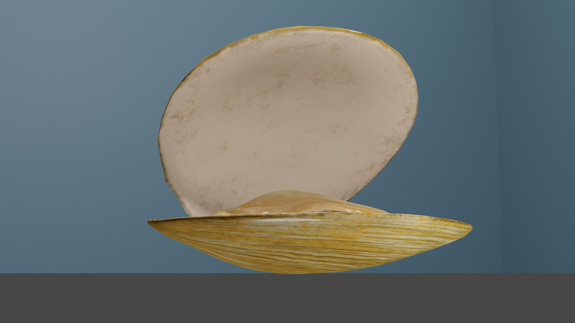 Clam in under sea  3D model_8