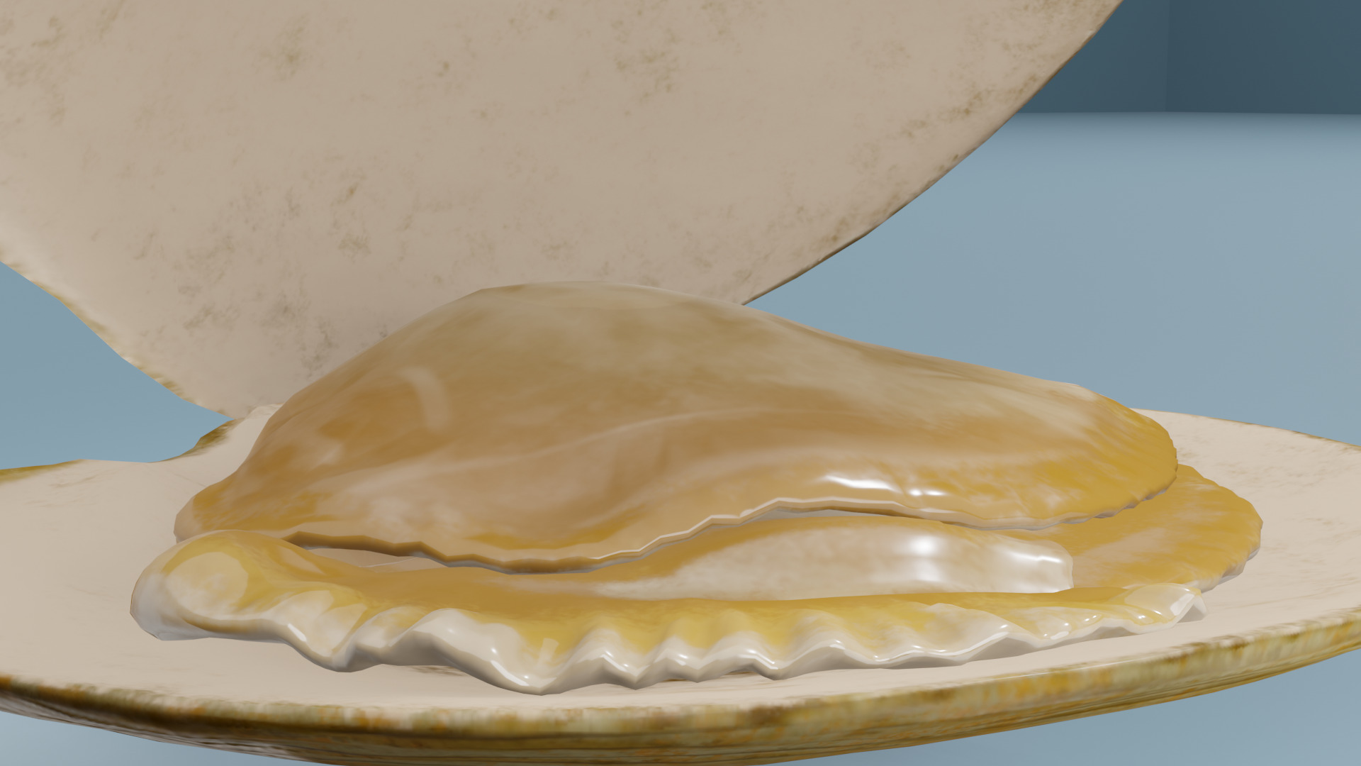 Clam in under sea  3D model_1