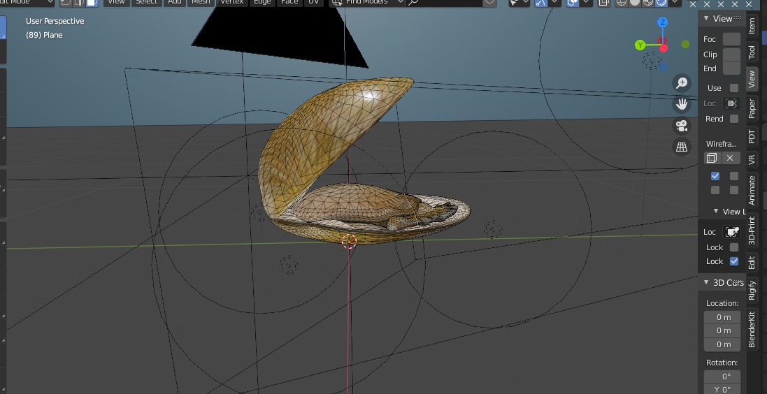 Clam in under sea  3D model_3