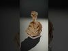 Classical Bust Sculpture Model Pack Low-poly 3D model_2