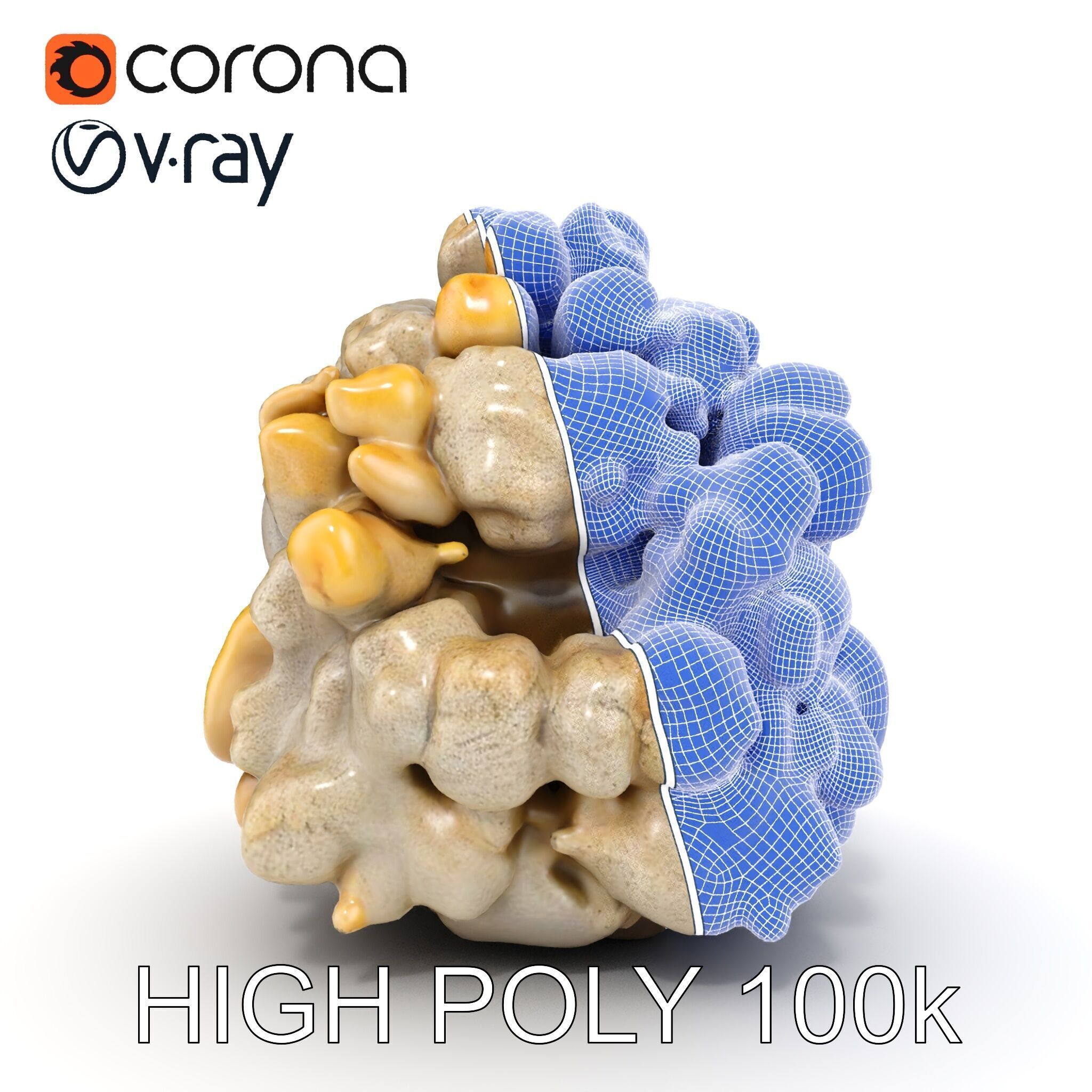 Realistic Coral Stone Model Pack for D Environments Low-poly 3D model_35