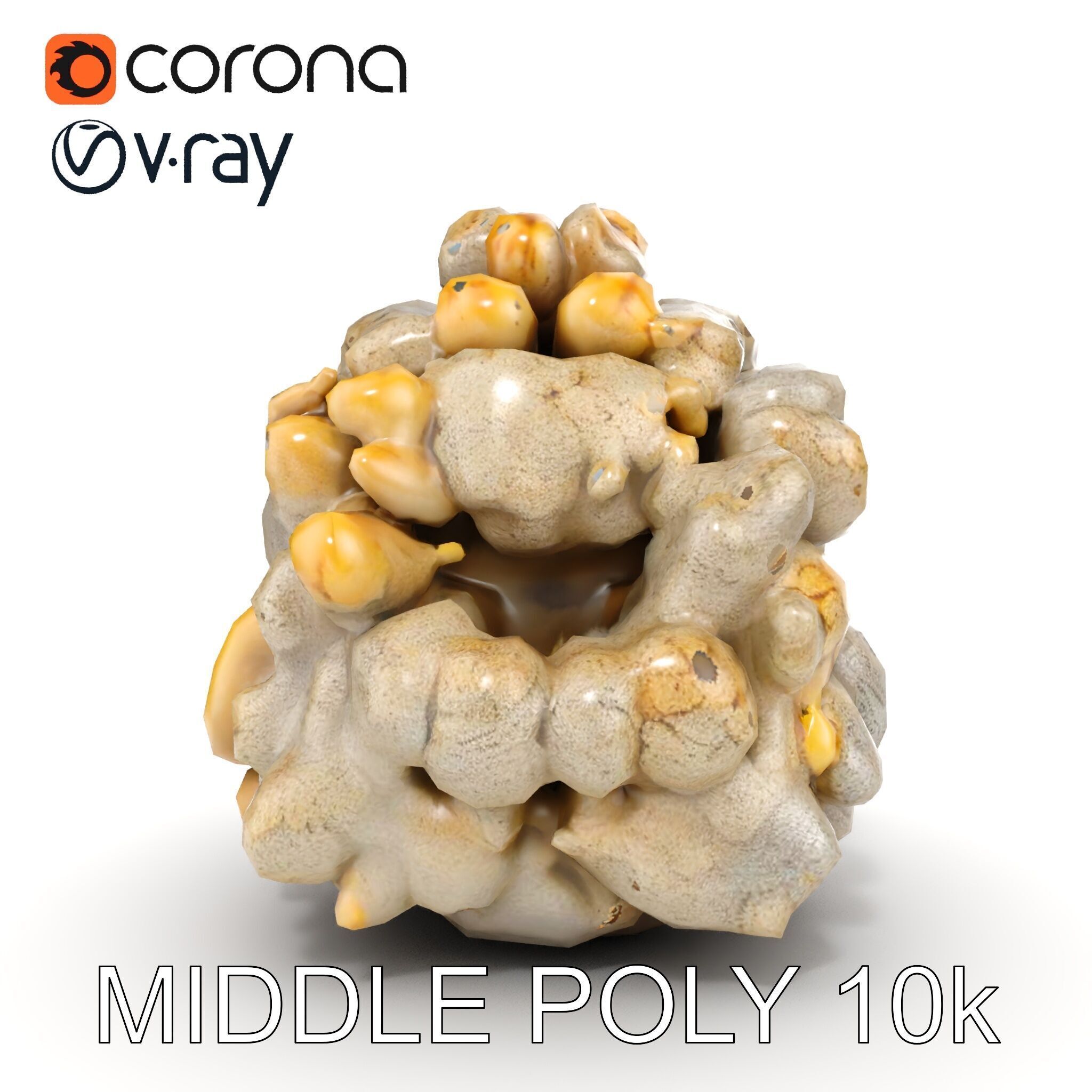 Realistic Coral Stone Model Pack for D Environments Low-poly 3D model_24