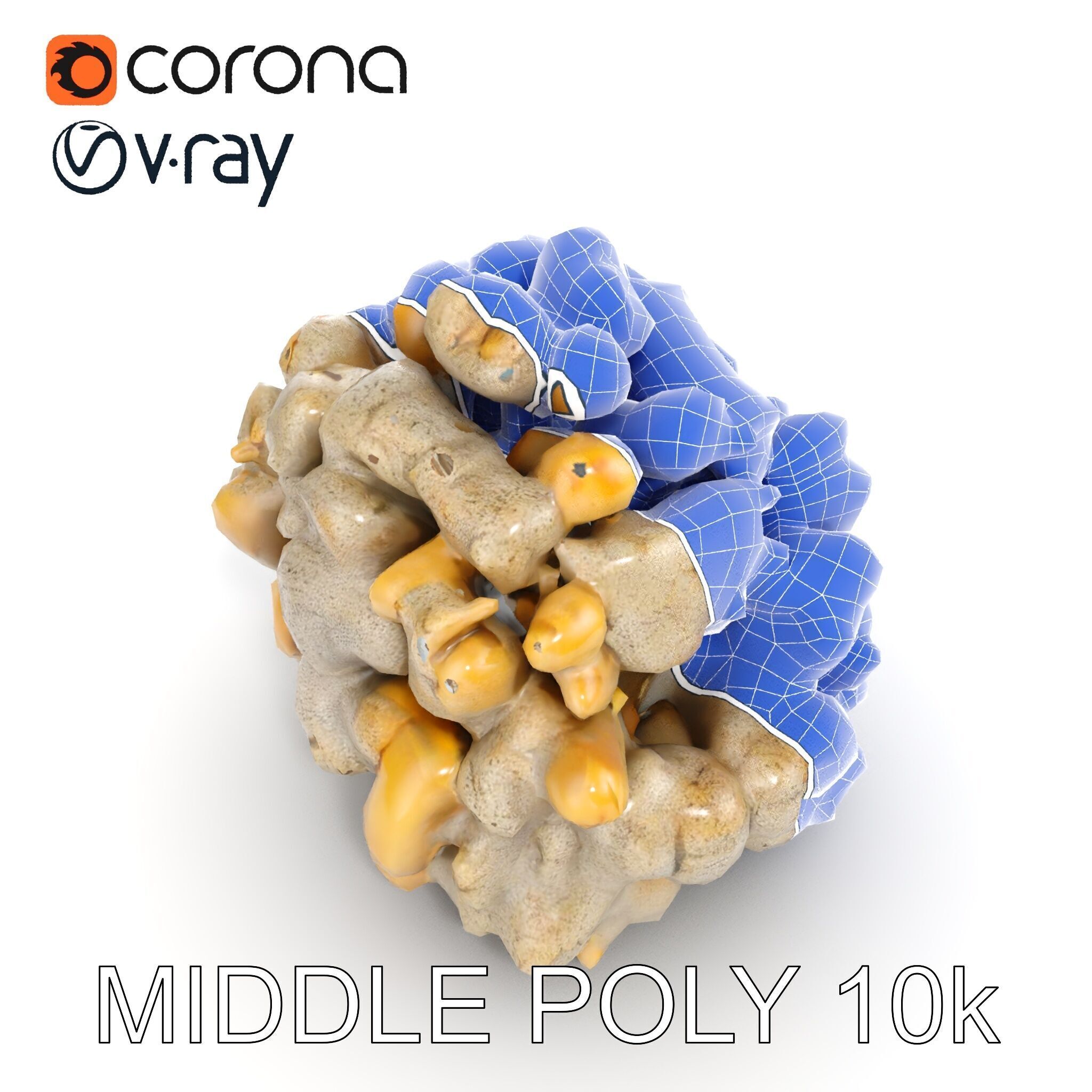 Realistic Coral Stone Model Pack for D Environments Low-poly 3D model_19