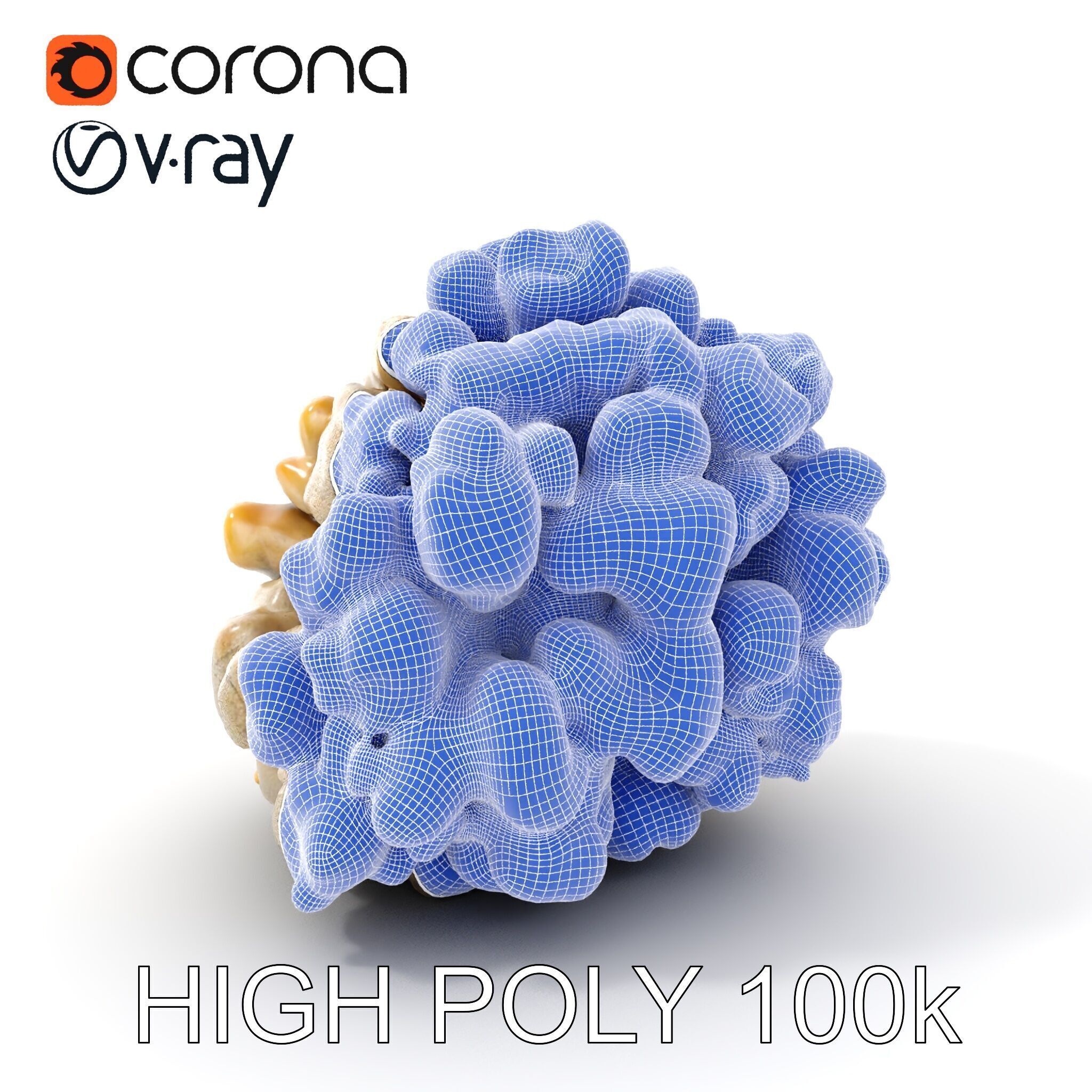 Realistic Coral Stone Model Pack for D Environments Low-poly 3D model_4