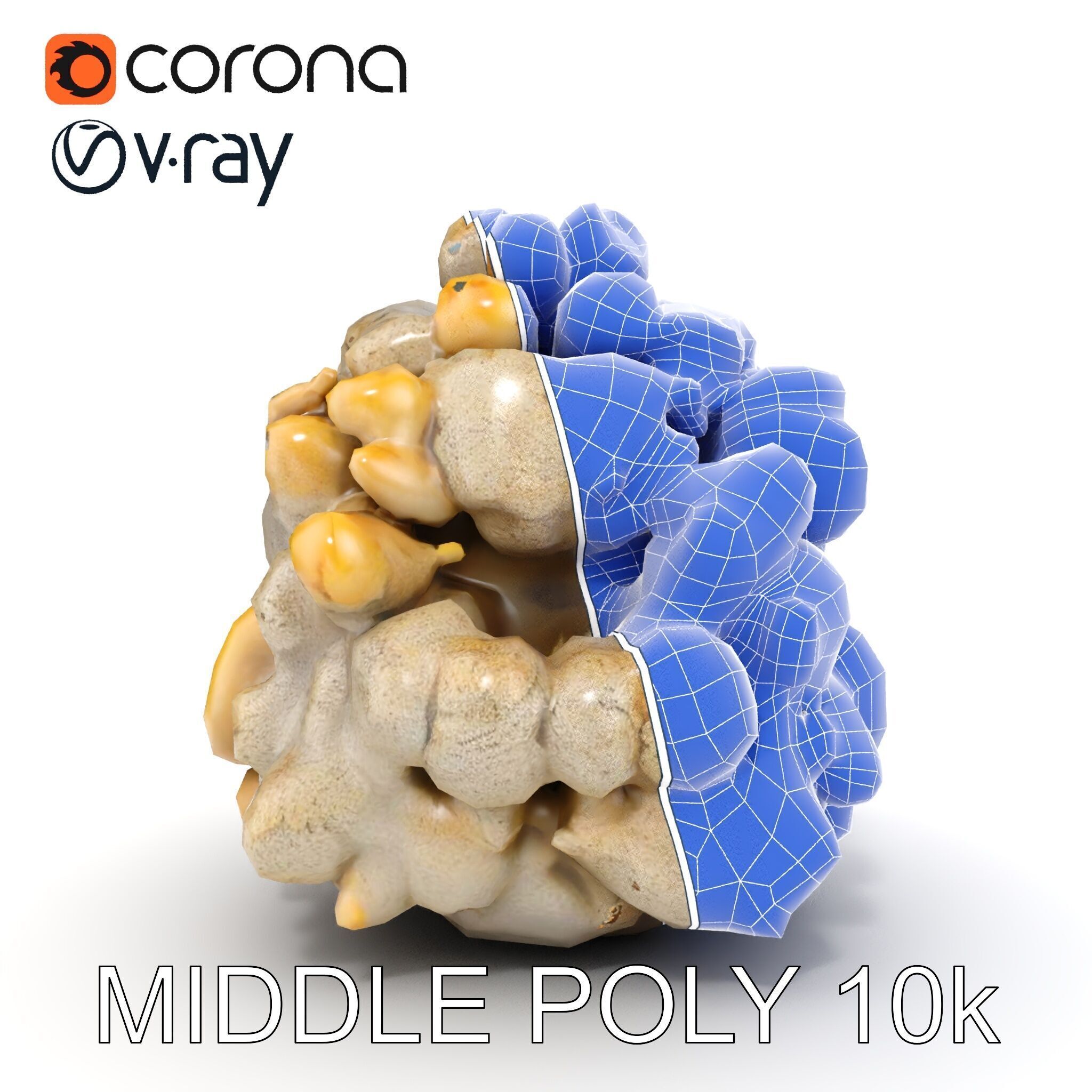 Realistic Coral Stone Model Pack for D Environments Low-poly 3D model_27