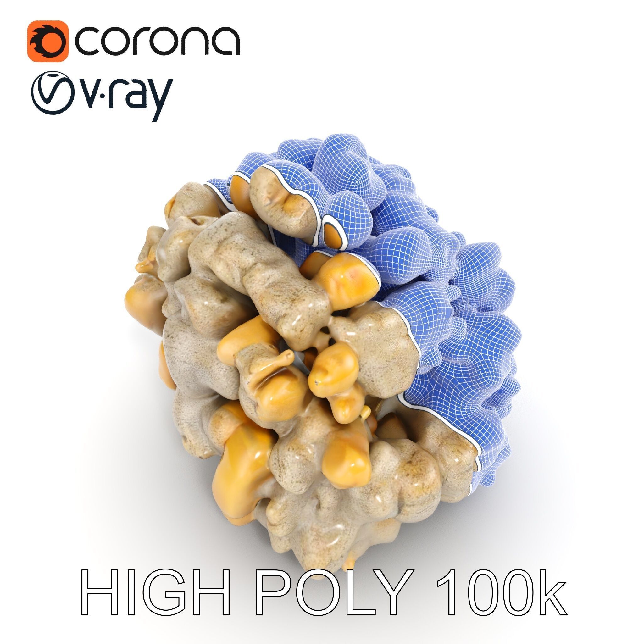 Realistic Coral Stone Model Pack for D Environments Low-poly 3D model_18