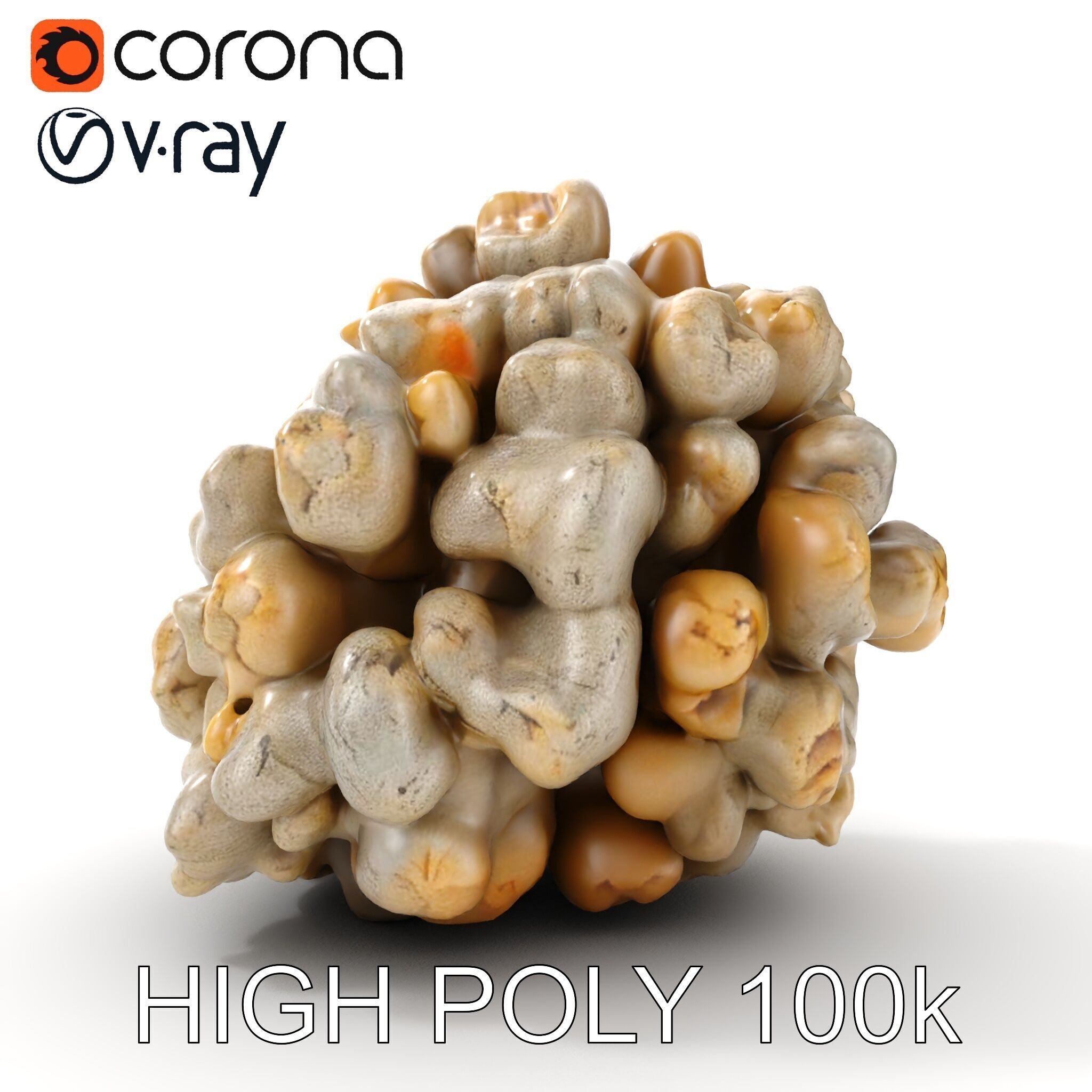 Realistic Coral Stone Model Pack for D Environments Low-poly 3D model_29