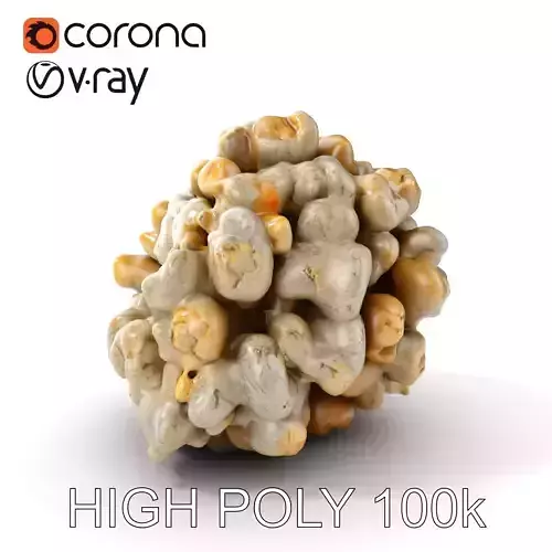 Realistic Coral Stone Model Pack for D Environments Low-poly 3D model