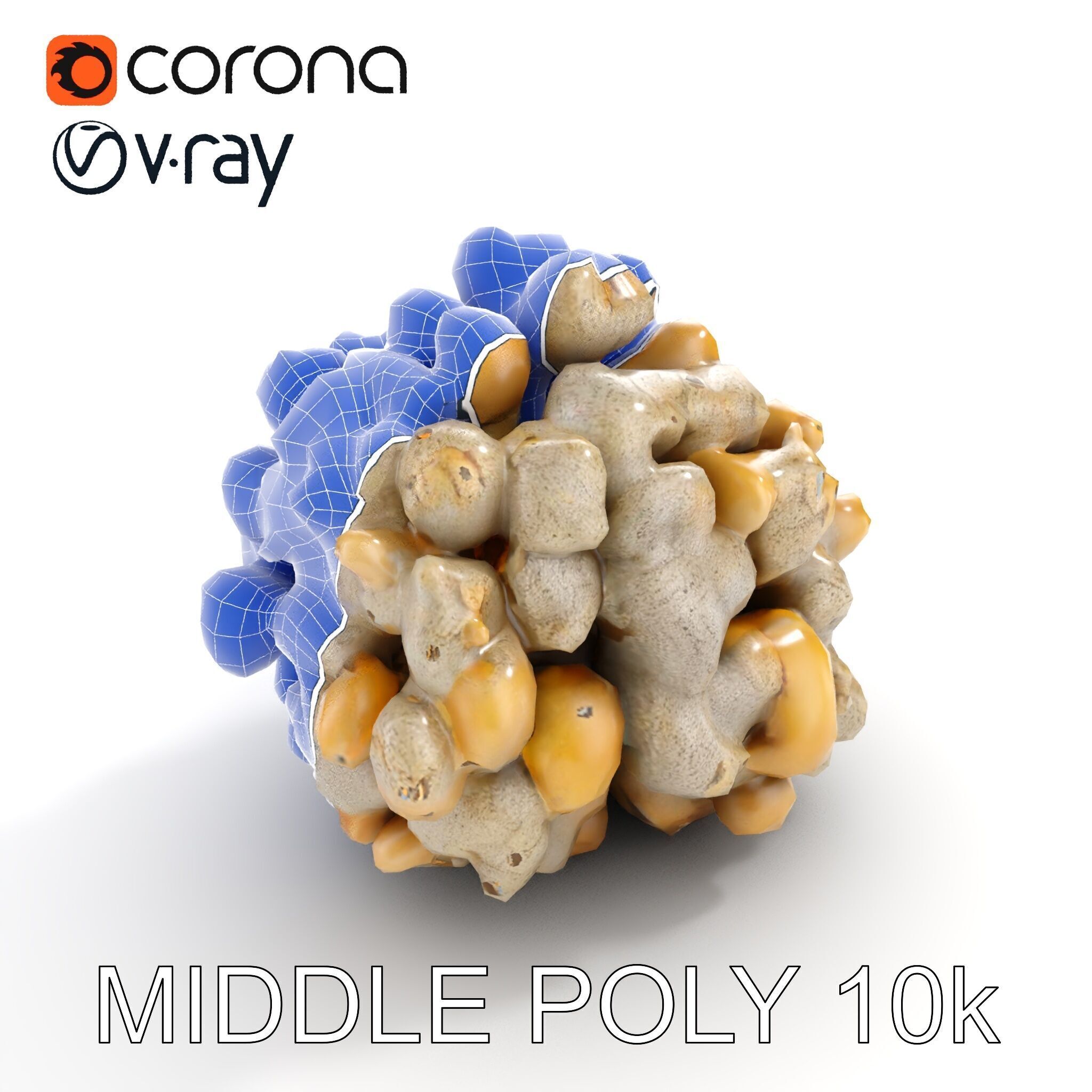 Realistic Coral Stone Model Pack for D Environments Low-poly 3D model_30
