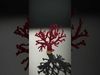 Vibrant Red Coral Reef Model Pack Low-poly 3D model_2