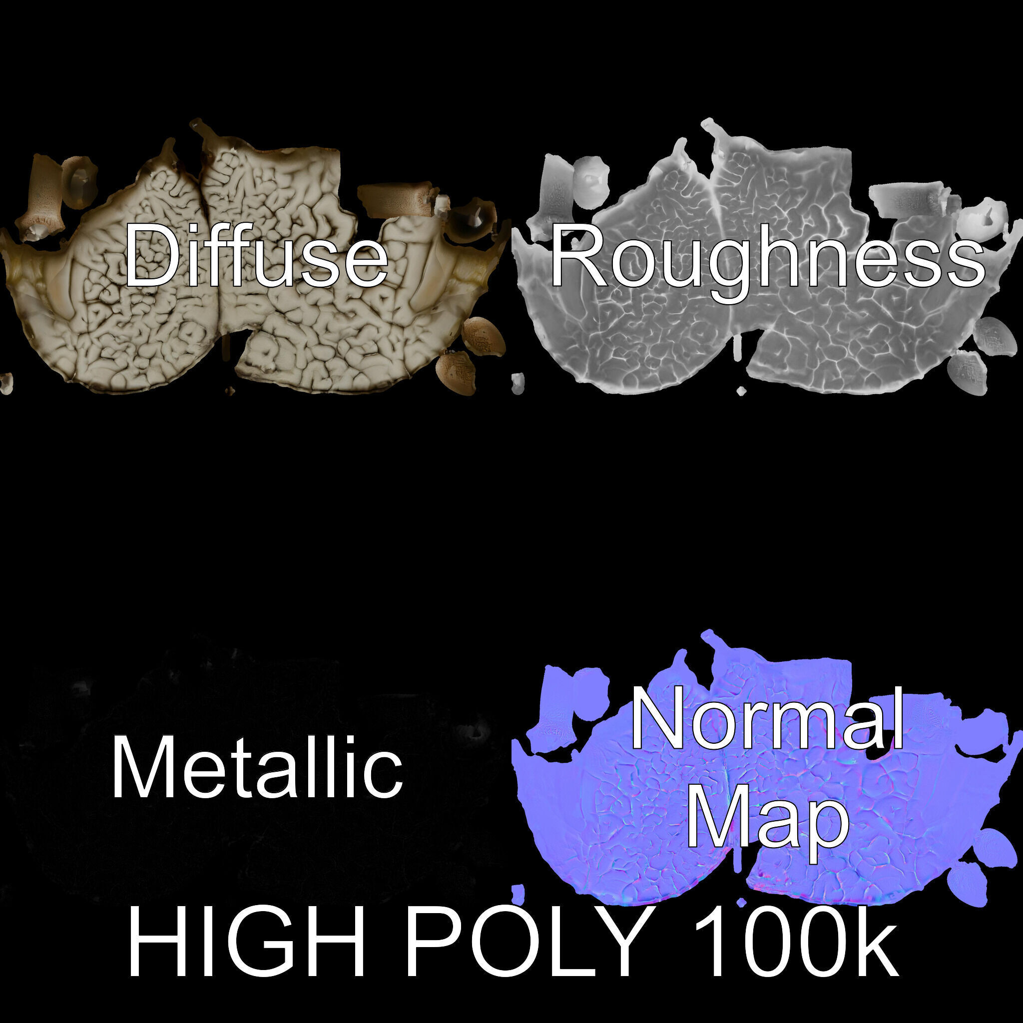 Realistic Human Brain D Model Pack Low-poly 3D model_3