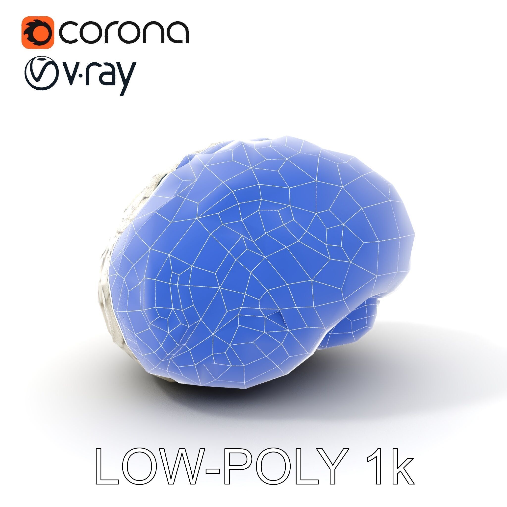 Realistic Human Brain D Model Pack Low-poly 3D model_17