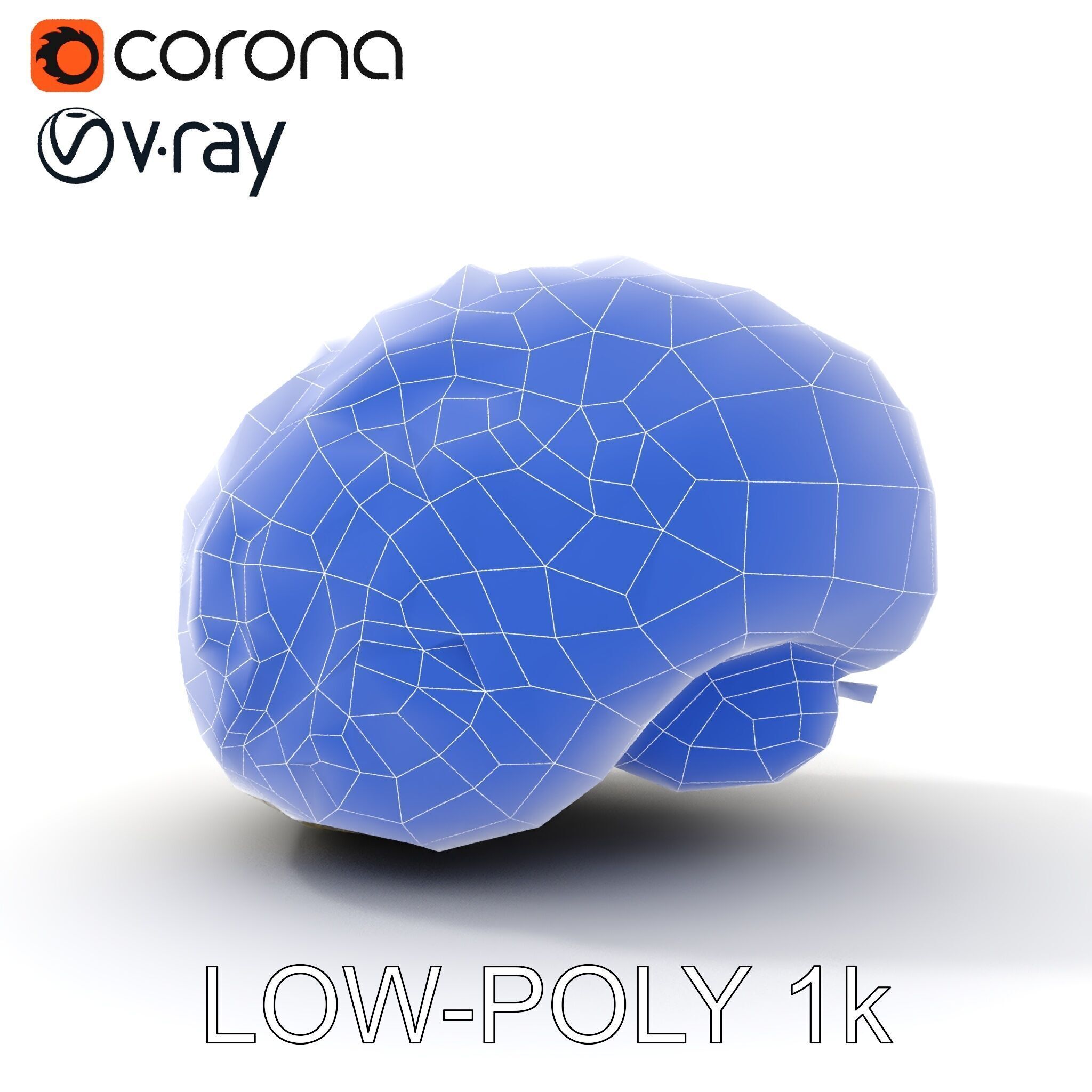 Realistic Human Brain D Model Pack Low-poly 3D model_15