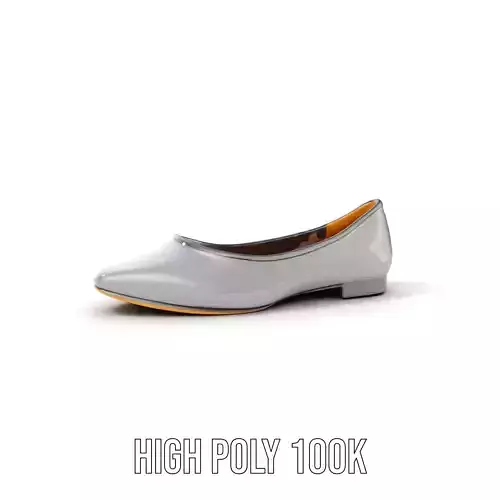 Elegant Gray Ballet Flat Shoe Model Pack Low-poly 3D model