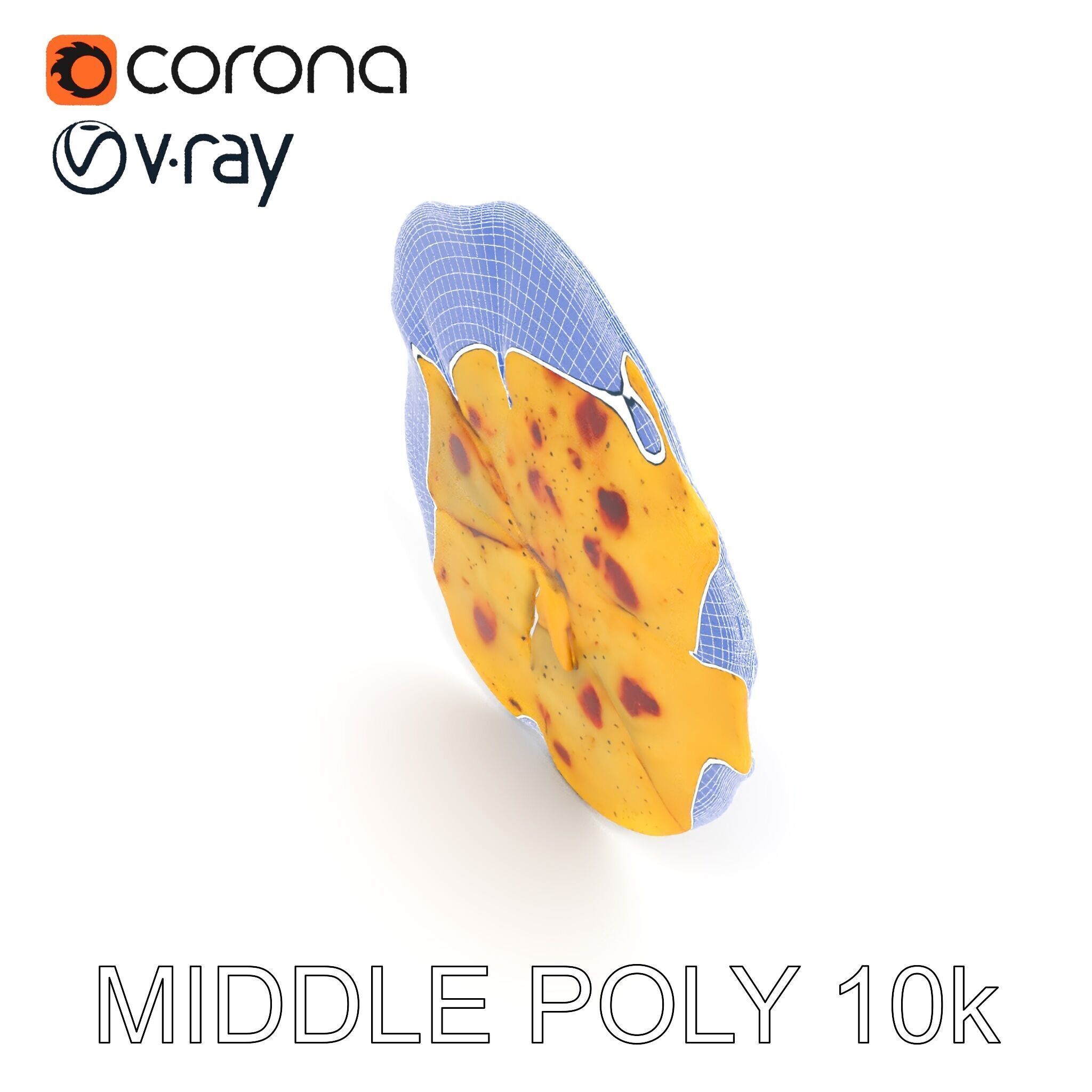 Detailed Flatbread Model Pack for D Applications Low-poly 3D model_13