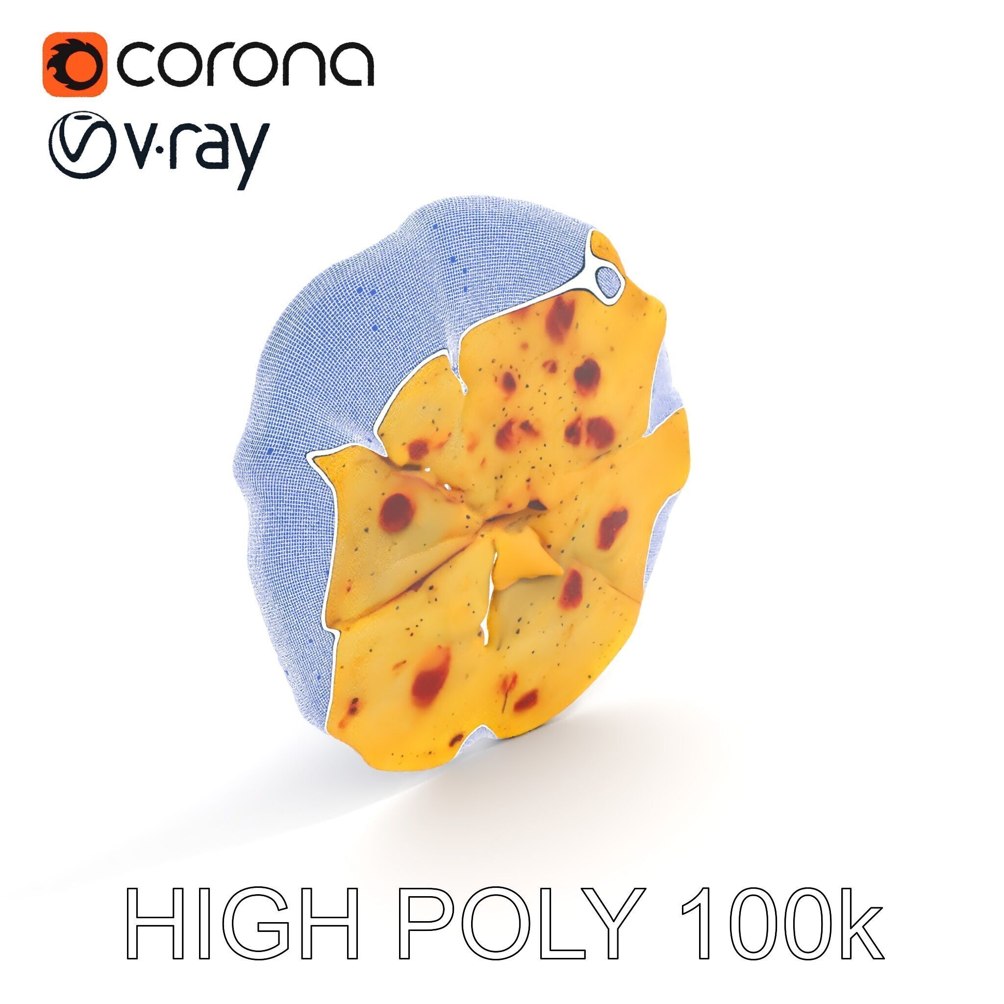 Detailed Flatbread Model Pack for D Applications Low-poly 3D model_15