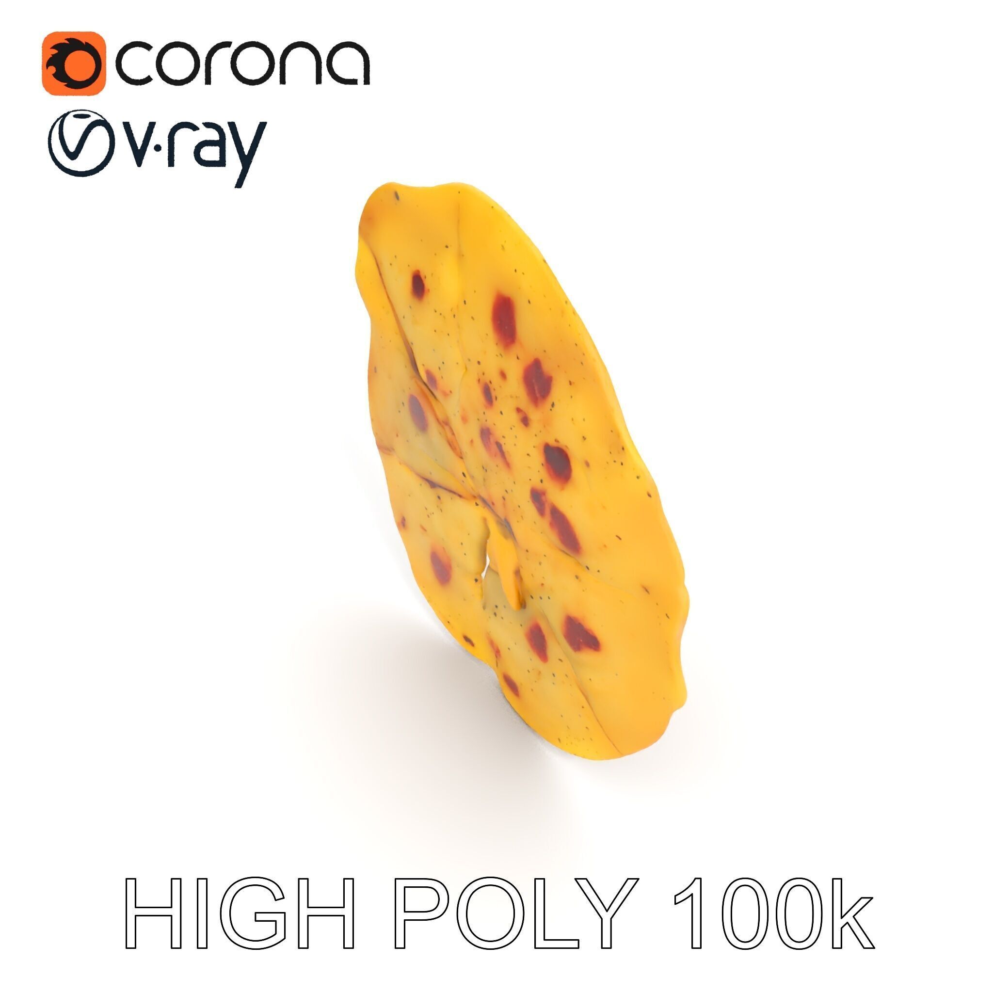 Detailed Flatbread Model Pack for D Applications Low-poly 3D model_21