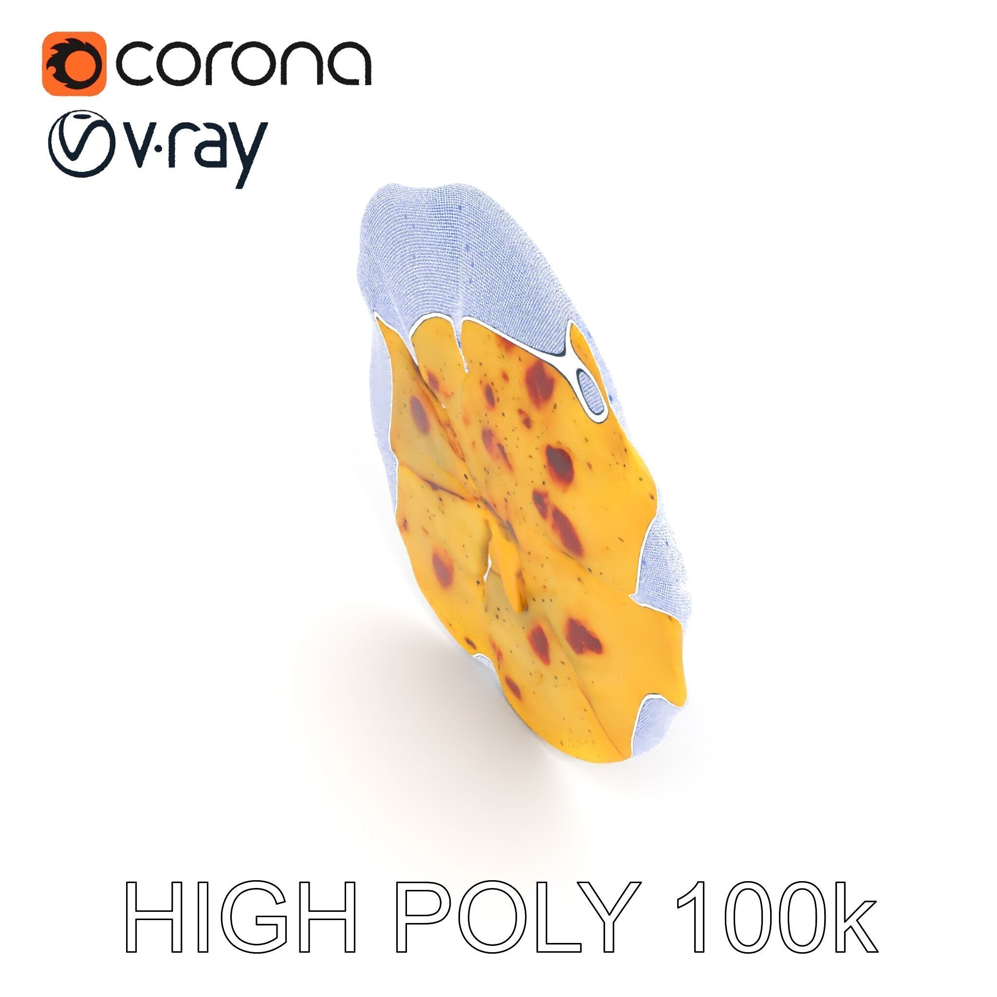 Detailed Flatbread Model Pack for D Applications Low-poly 3D model_24