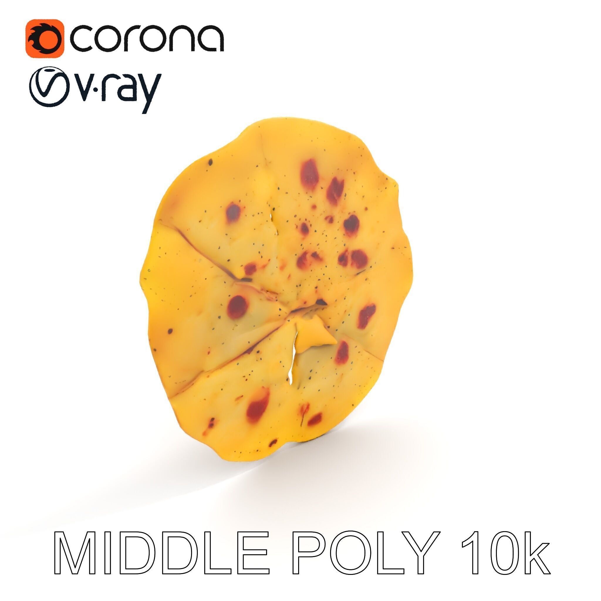 Detailed Flatbread Model Pack for D Applications Low-poly 3D model_25