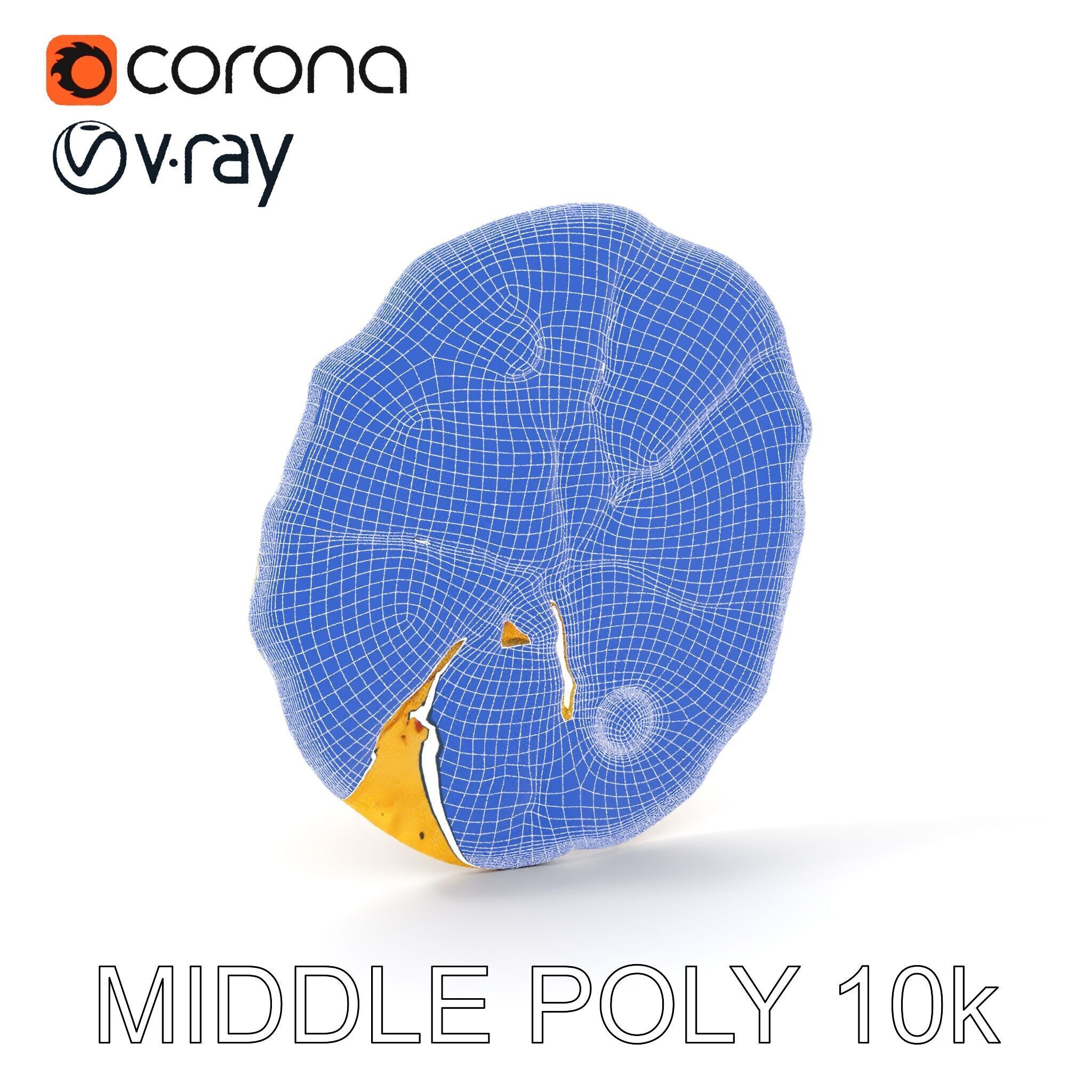 Detailed Flatbread Model Pack for D Applications Low-poly 3D model_19