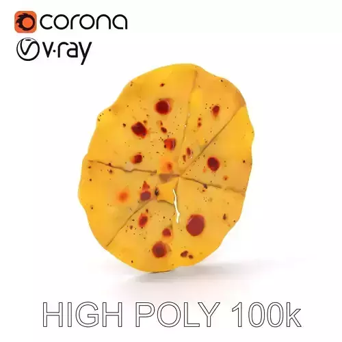 Detailed Flatbread Model Pack for D Applications Low-poly 3D model