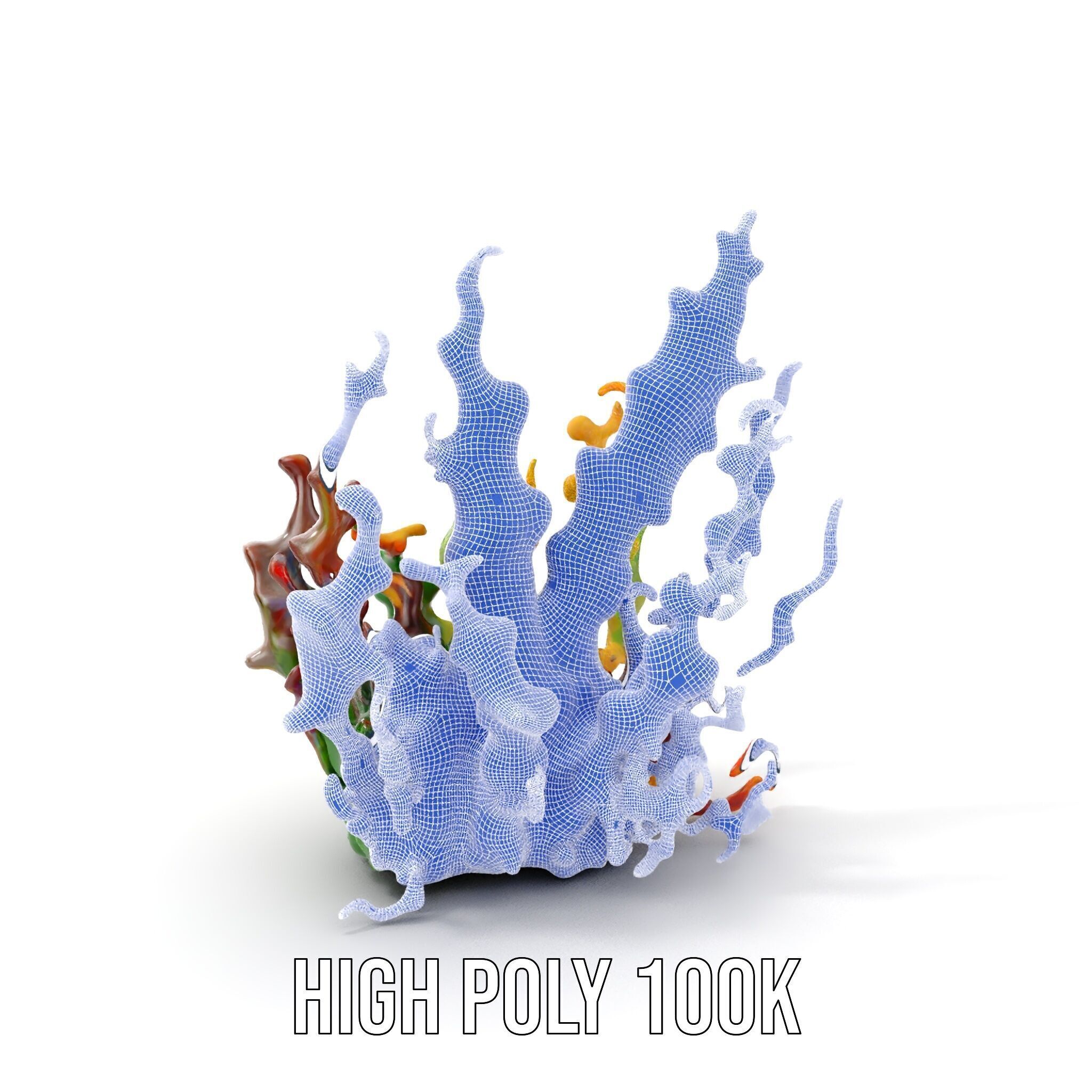 Colorful Seaweed Model Pack High Detail D Render Low-poly 3D model_4