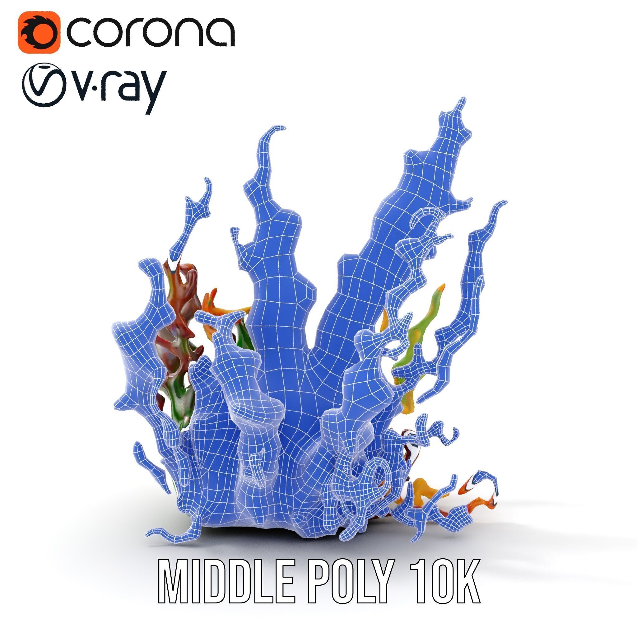 Colorful Seaweed Model Pack High Detail D Render Low-poly 3D model_28