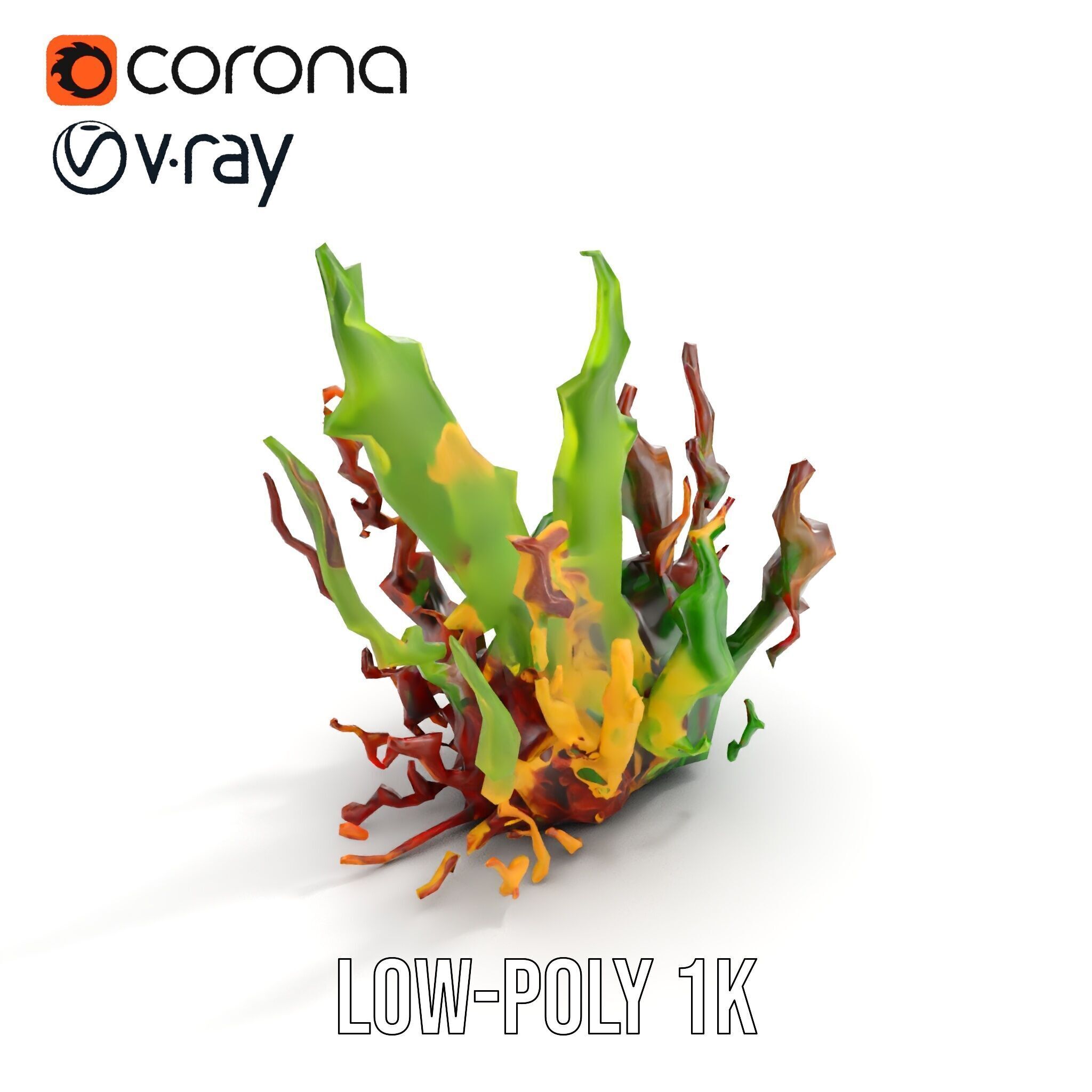 Colorful Seaweed Model Pack High Detail D Render Low-poly 3D model_20