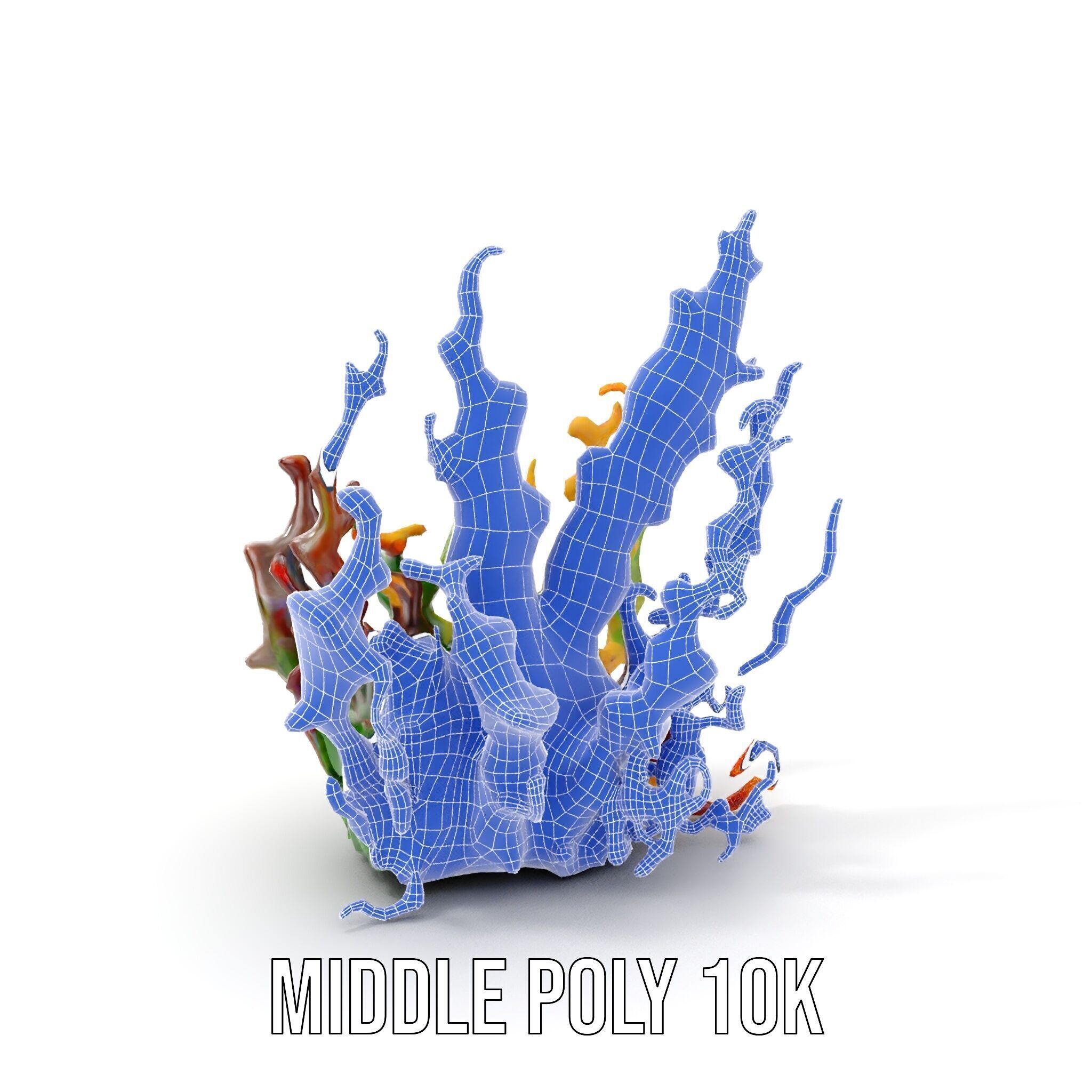 Colorful Seaweed Model Pack High Detail D Render Low-poly 3D model_12