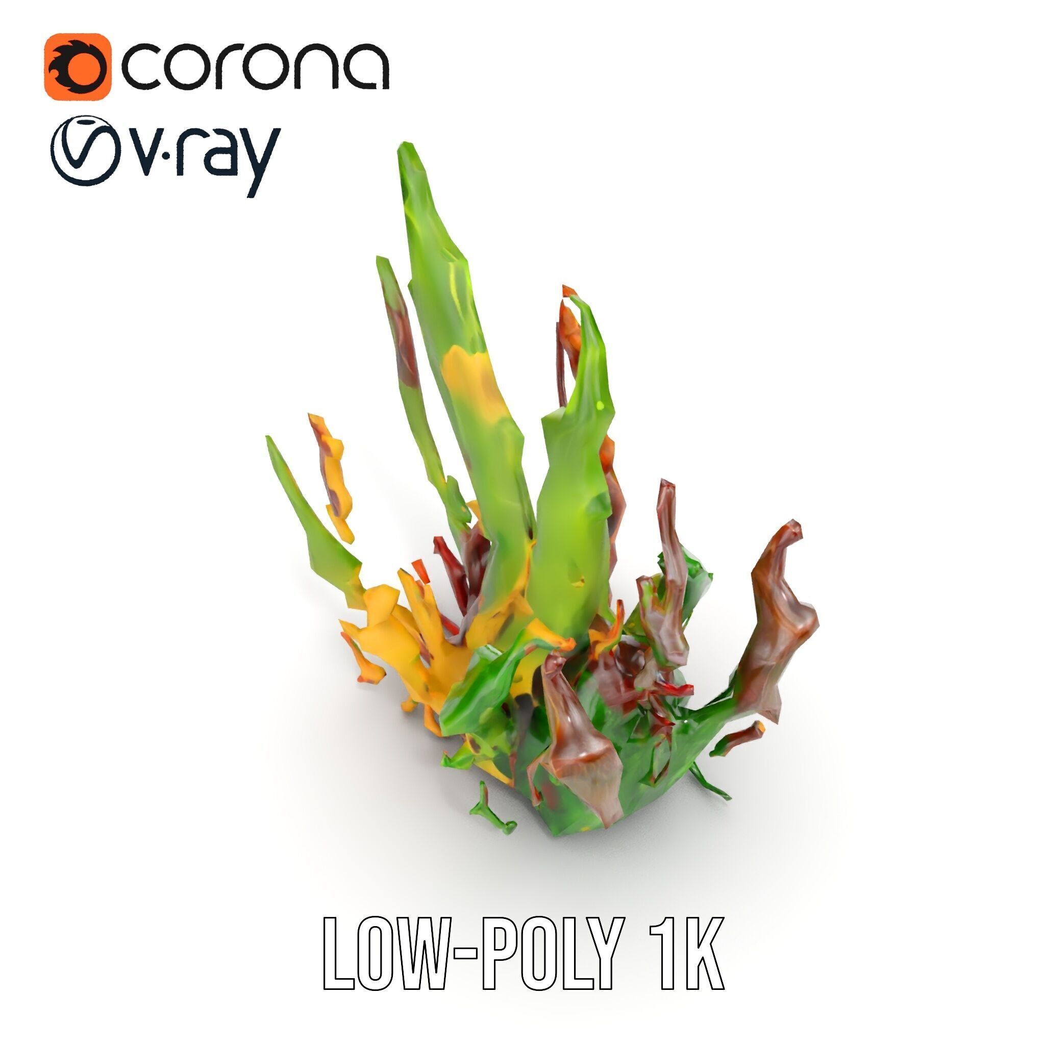 Colorful Seaweed Model Pack High Detail D Render Low-poly 3D model_10