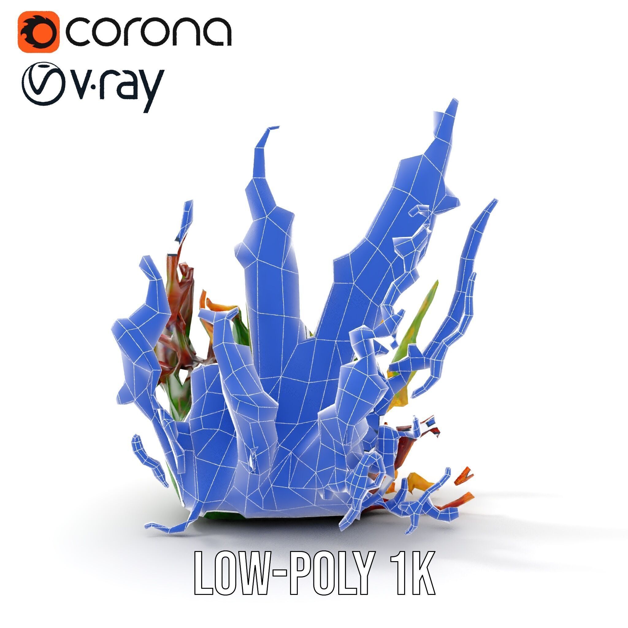 Colorful Seaweed Model Pack High Detail D Render Low-poly 3D model_29