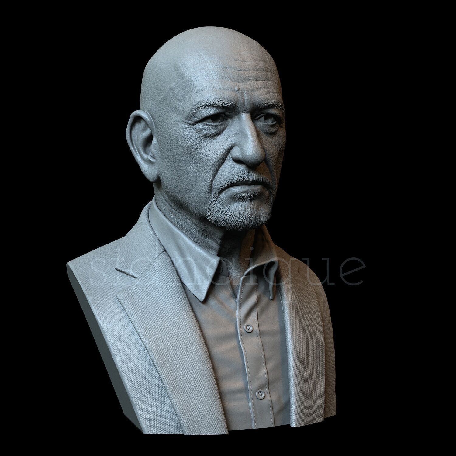 Ben Kingsley 3D print model_6