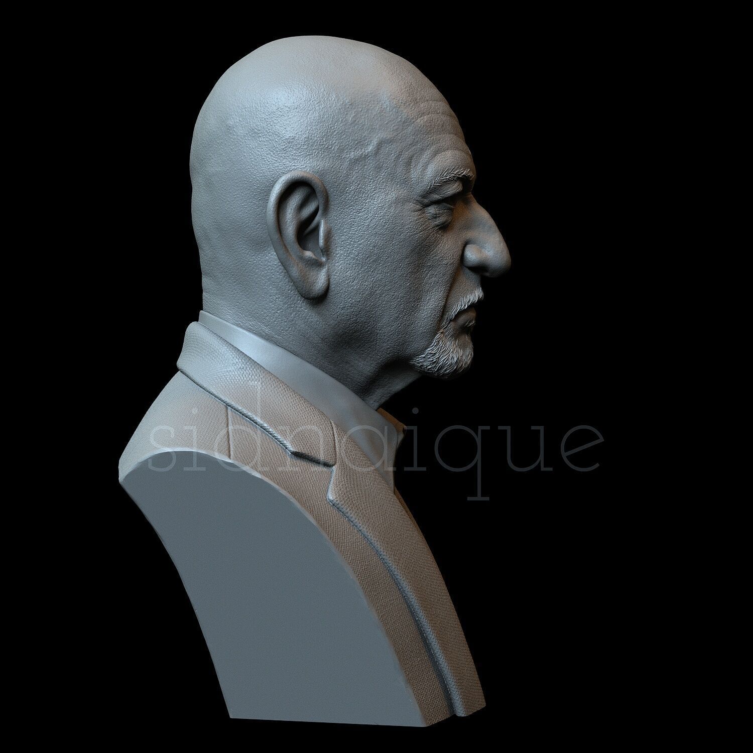 Ben Kingsley 3D print model_11