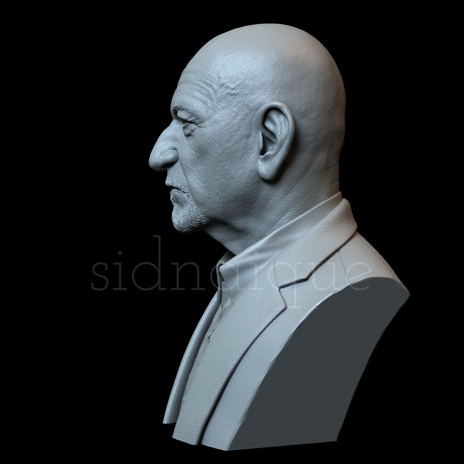 Ben Kingsley 3D print model_3