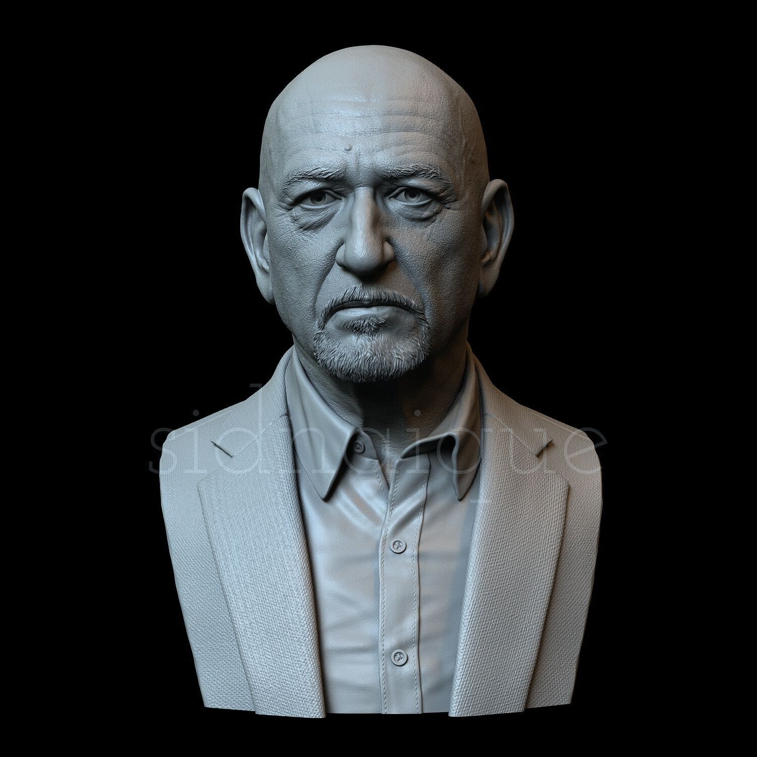Ben Kingsley 3D print model_7