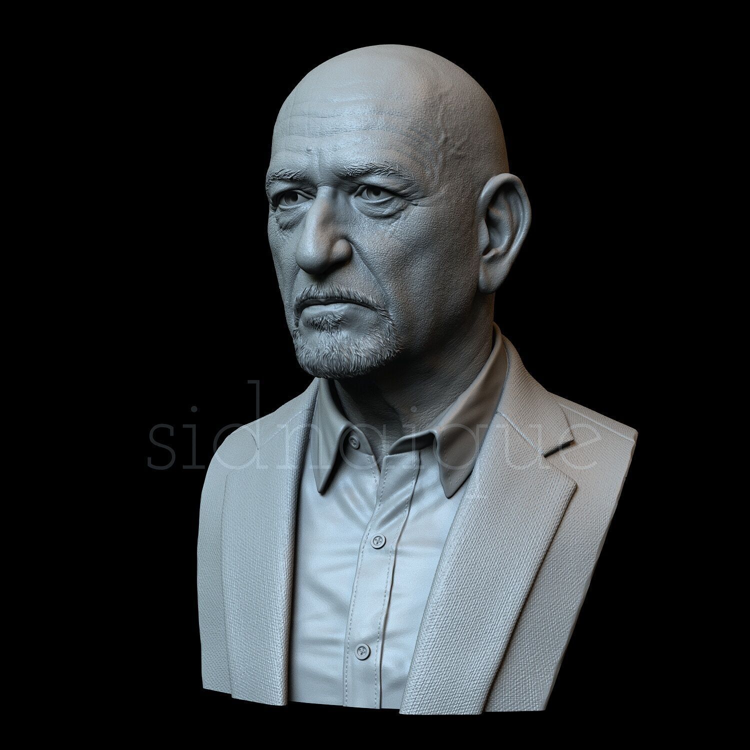 Ben Kingsley 3D print model_2