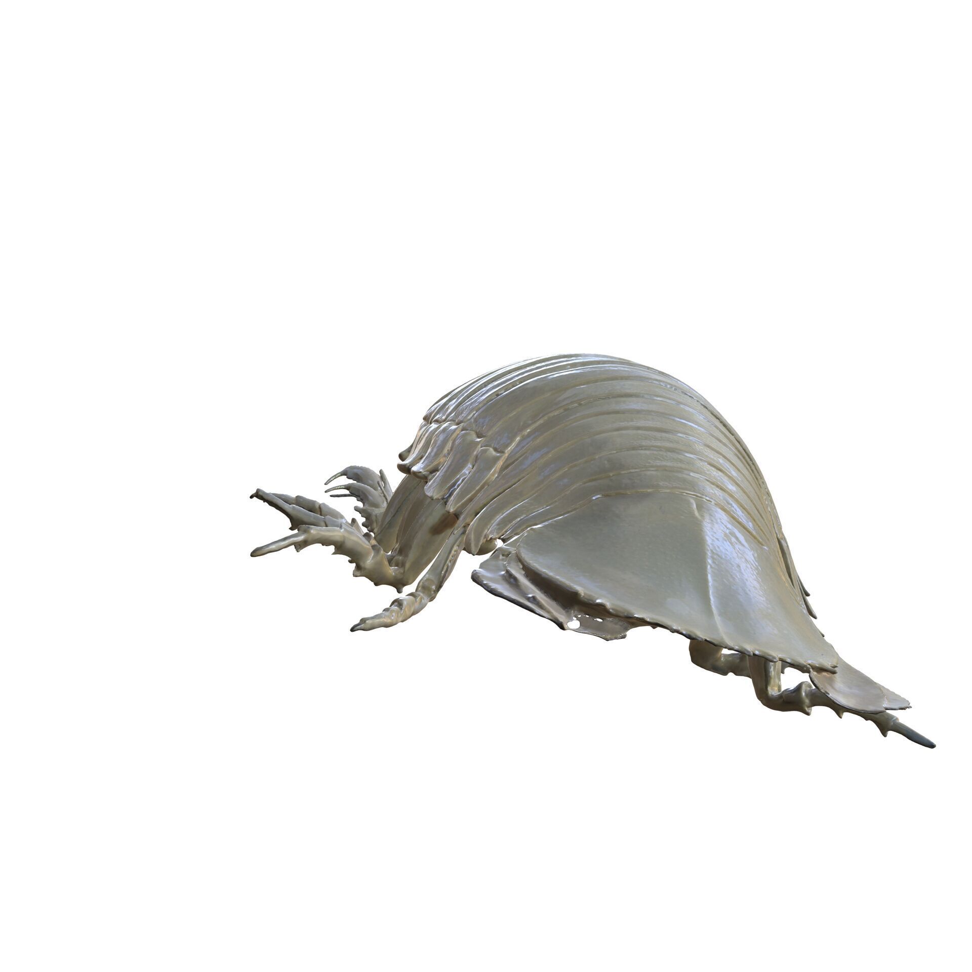 Sandcrab 3Dscan INSECT 3D MODEL ANT BEETLE 3D print model_5