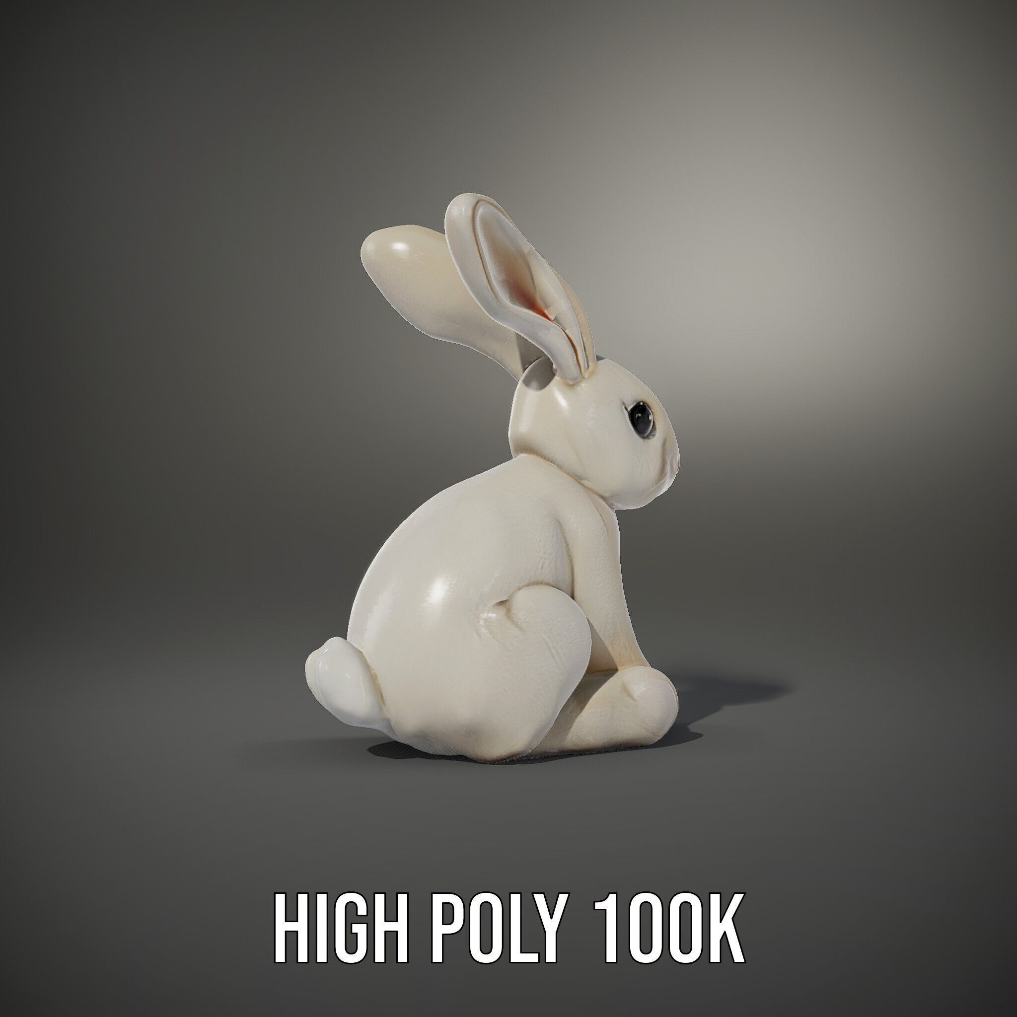 Soft White Bunny model pack Low-poly 3D model_11