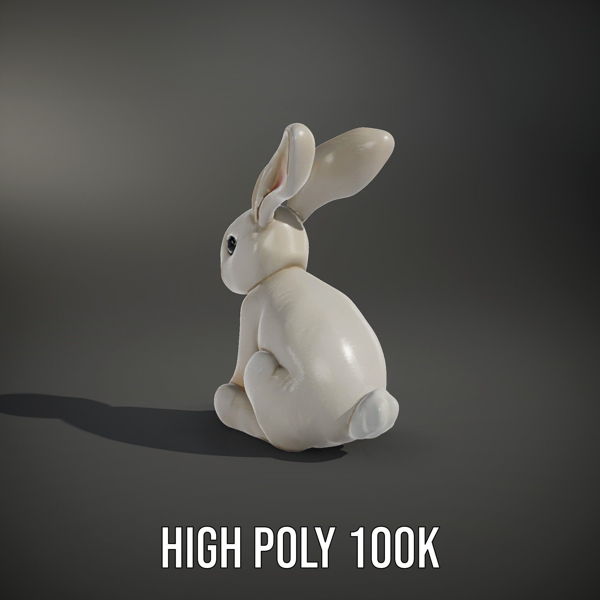 Soft White Bunny model pack Low-poly 3D model_8