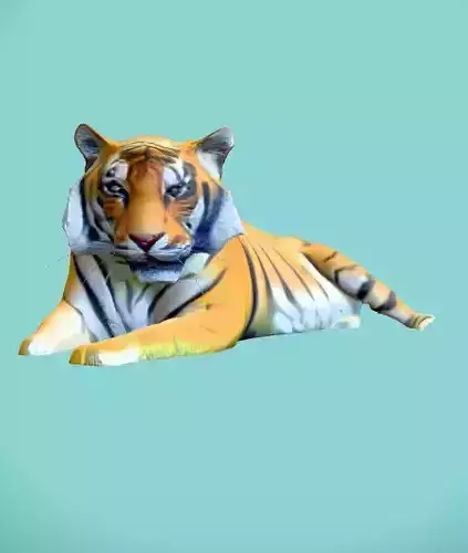 Tiger 3d modal 