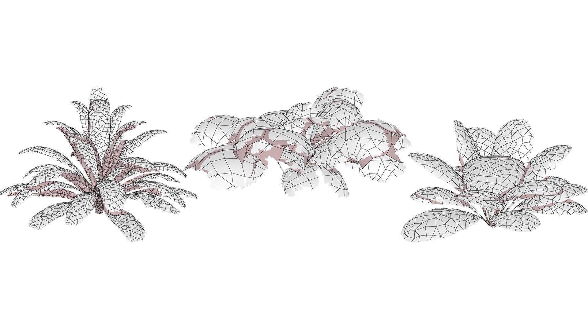 Leafy Greens 3D Pack Low-poly 3D model_9