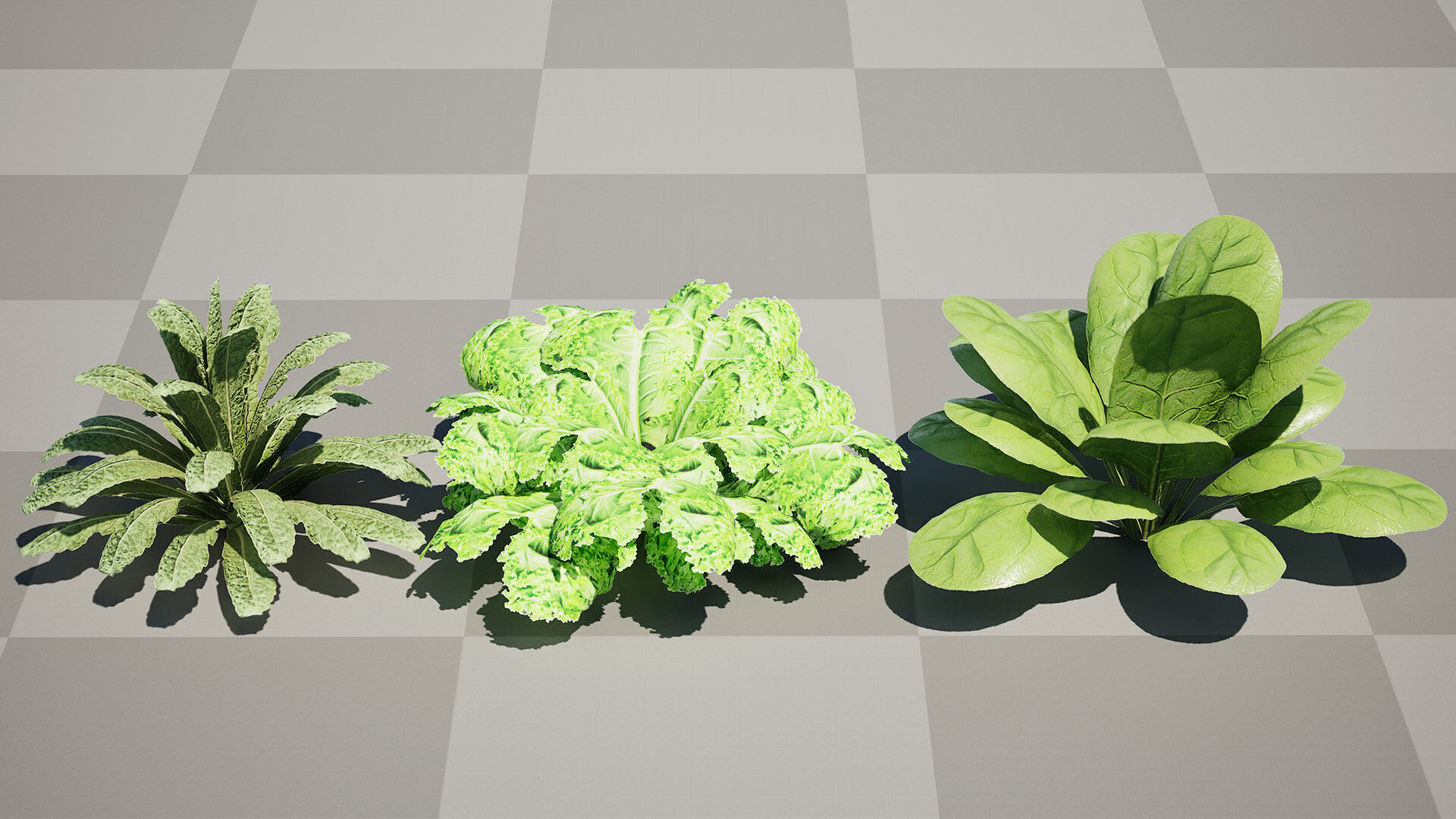Leafy Greens 3D Pack Low-poly 3D model_8
