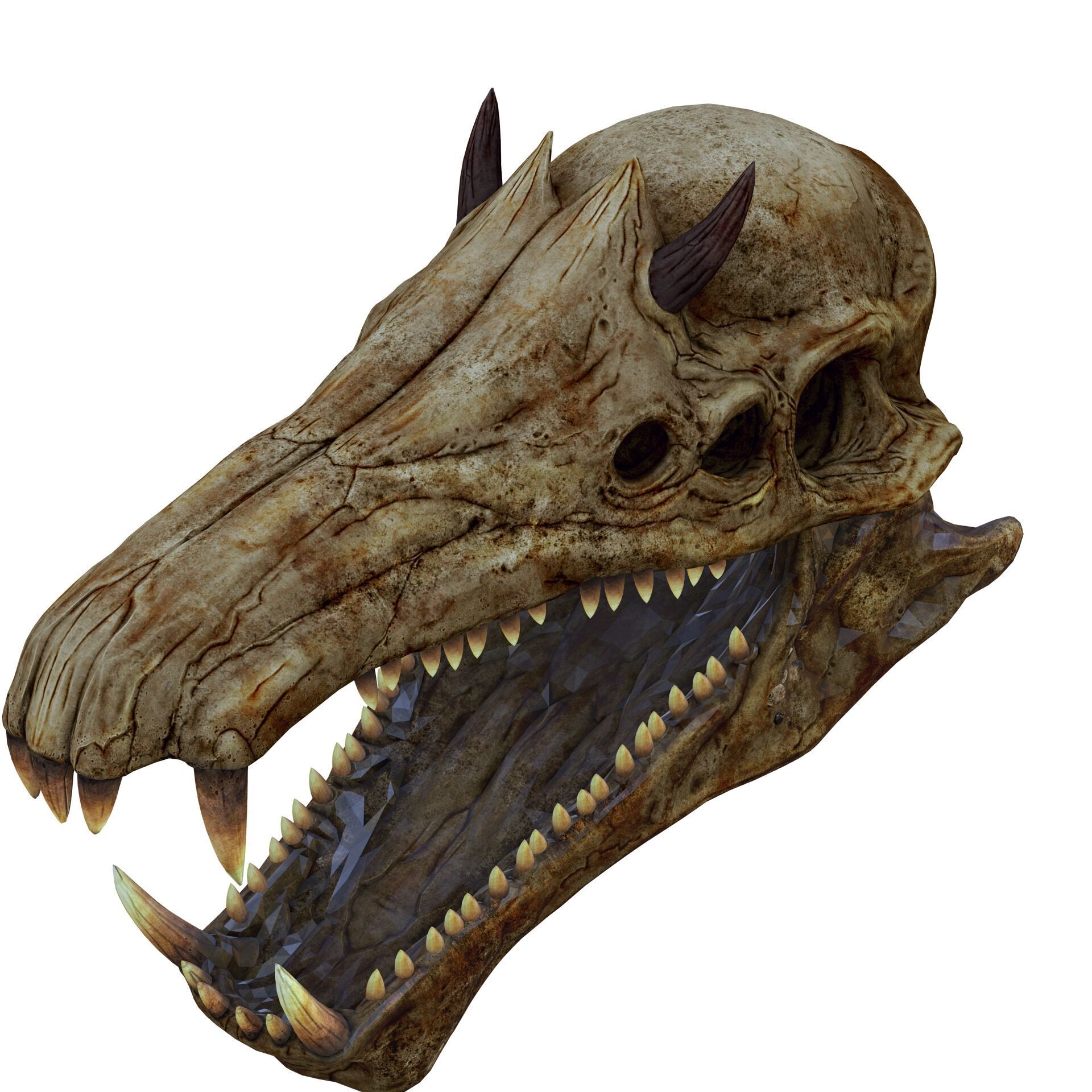 SKULL River Gargantuan Skull SKELETON ANIMAL 3D print model_8