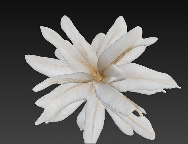 Lumina Sprout Sculptural Lamp 3D model