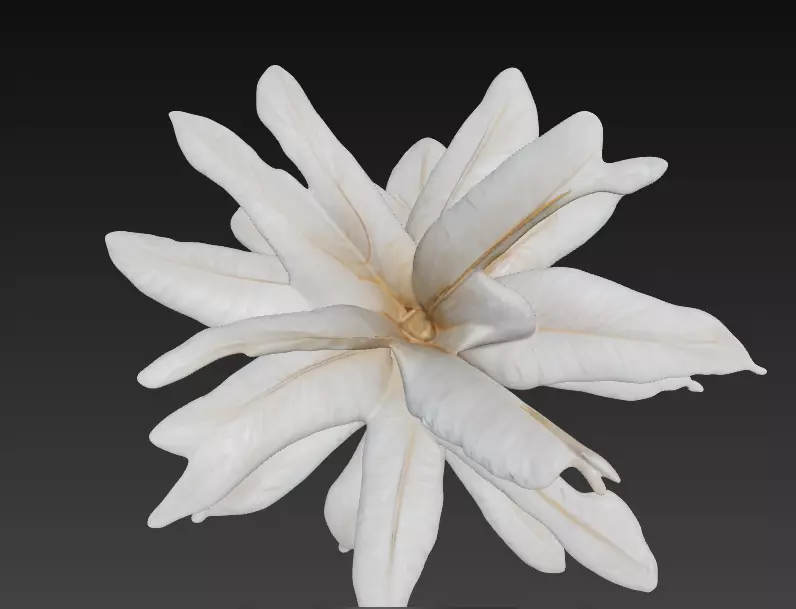 Lumina Sprout Sculptural Lamp 3D model_0