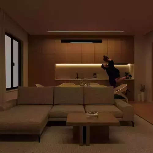 Minimalist Living Room