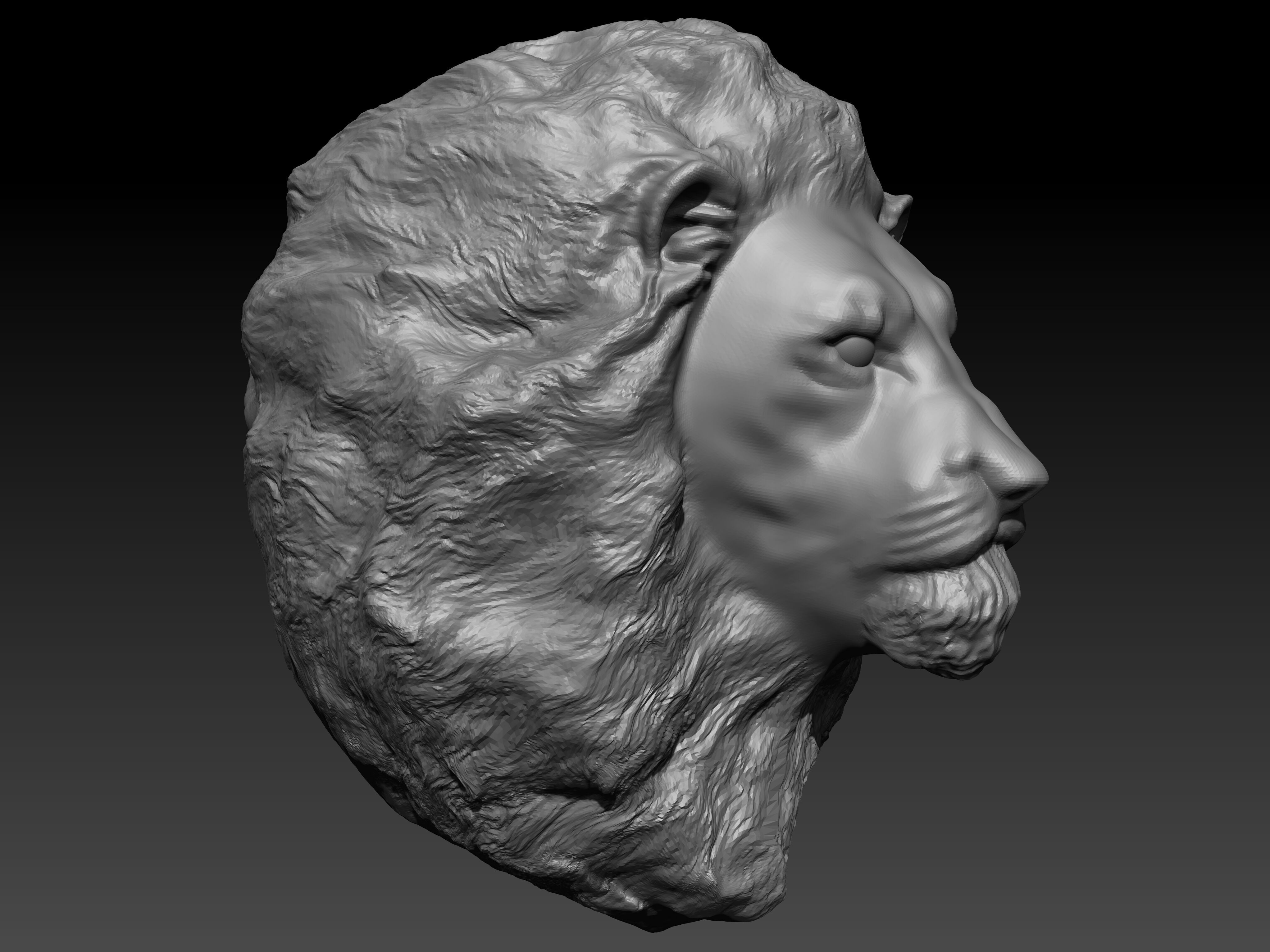 Lion head Sculpture 3D model_2